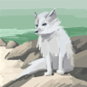 Meet your Posher, Brooklynn